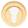 CARLISLE BRASS AA1 Escutcheon Euro (50x10) Concealed Fixing PB (PAIR)