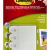 COMMAND Picture Hanging Strip Small Pk4 (PK 4)
