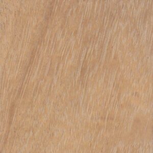 Iroko 19x21mm (METRE (21 x 21mm))