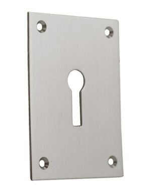 Escutcheon Key Screw Fix 47x65 SSS (PAIR)